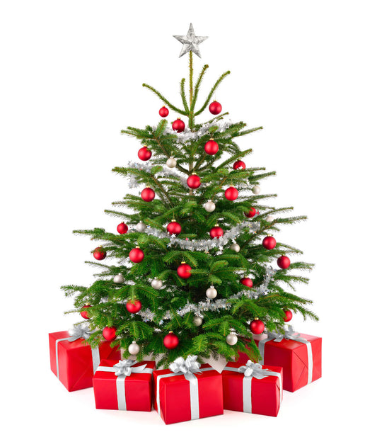 Shipping informations during the Christmas time in 2020