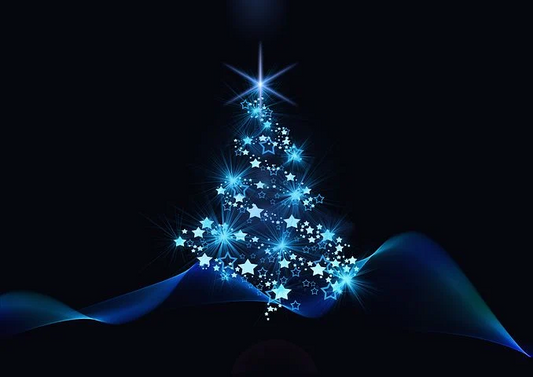 Merry Christmas & Happy New Year!