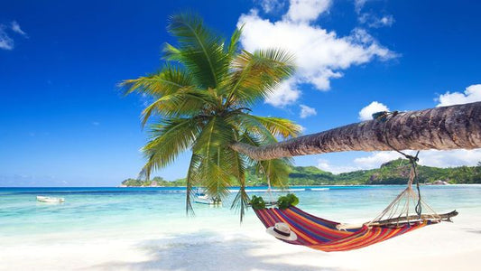 Summer Holiday Notice