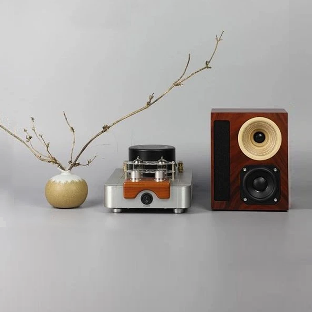 Qinpu A-6800 Mini Hybrid Amplifier + Speaker Sets