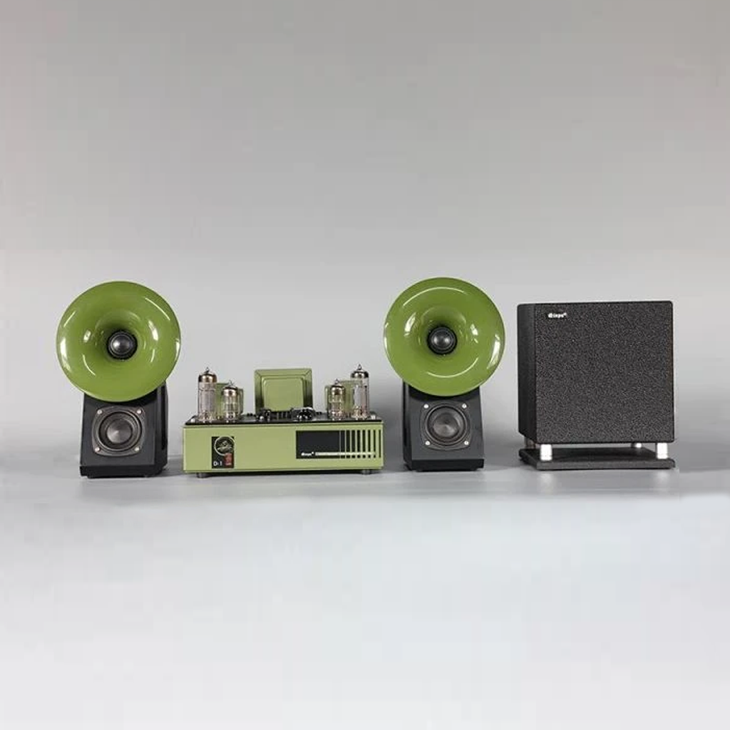 Qinpu D-1 Mini Hybrid Amplifier + Speaker Sets