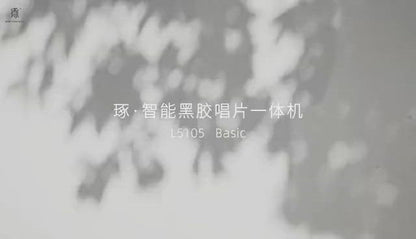 Compact All In One Record Player