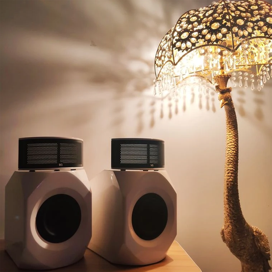 KINGSOUND Princess III Hybrid Electrostatic Speakers
