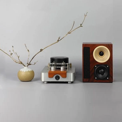 Qinpu A-6800 Mini Hybrid Amplifier + Speaker Sets