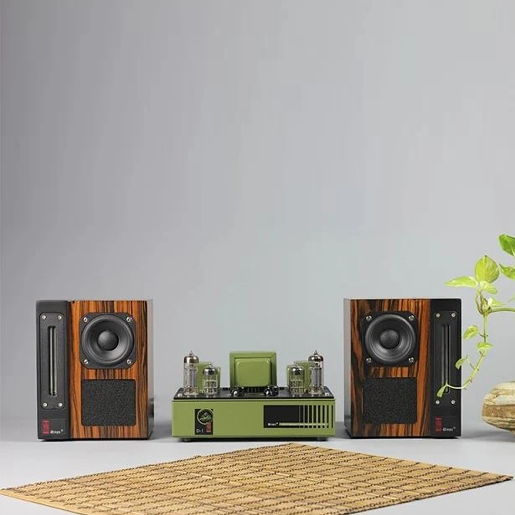 Qinpu D-1 Mini Hybrid Amplifier + Speaker Sets