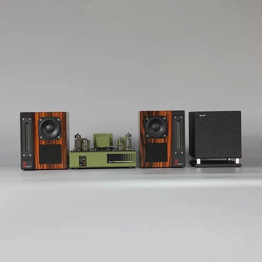 Qinpu D-1 Mini Hybrid Amplifier + Speaker Sets