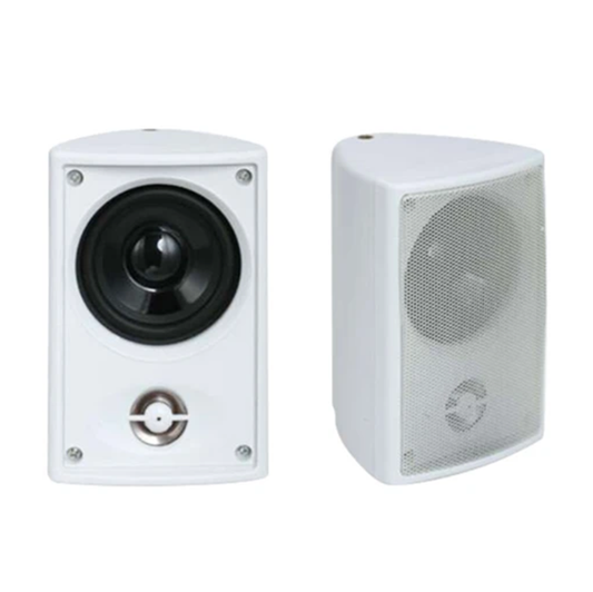 TL-G31 Wall Speaker