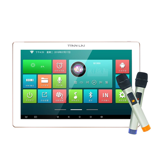 TL-JX100MK Smart Background Music Controller with Karaoke function and 2 Microphones